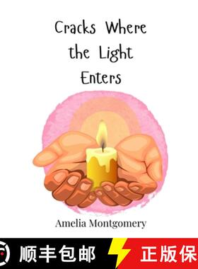 【3-4周达】Cracks Where the Light Enters [9783690746274]