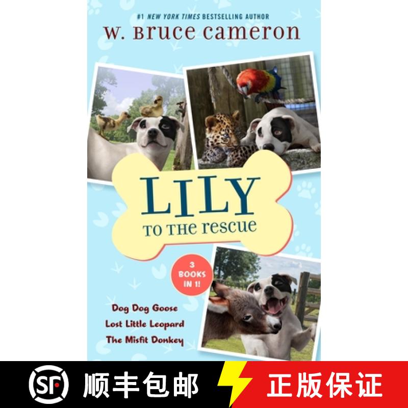 【3-4周达】Lily to the Rescue Bind-Up Books 4-6: Dog Dog Goose, Lost Little Leopard, and the Misfit D... [9781250867667]