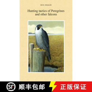 Peregrines 9780888396839 4周达 Falcons other and Tactics Hunting