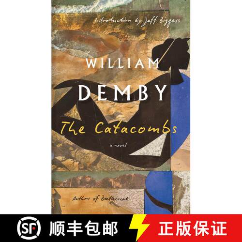 【3-4周达】The Catacombs: A Novel [9798217007332]