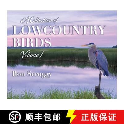 【3-4周达】A Collection of Lowcountry Birds [9798885908368]