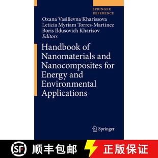 Nanocomposites Nanomaterials for Applications Handbook Environmental 4周达 9783030362676 Energy and
