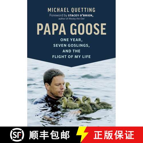 预订 Papa Goose : One Year, Seven Goslings, and the Flight of My Life [9781771646185]