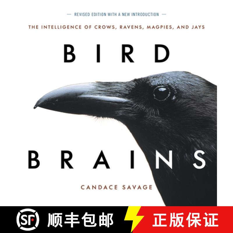 【3-4周达】Bird Brains : The Intelligence of Crows, Ravens, Magpies, and Jays [9781771644259]