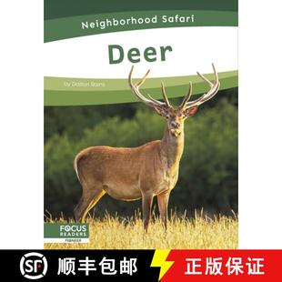 Deer 3周达 Safari 9798889981749 Neighborhood