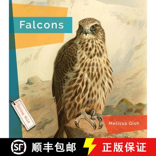 【3-4周达】Falcons [9781682773307]