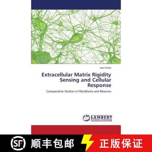 Rigidity Sensing 9783659809965 Extracellular Response Matrix Cellular 预订 and