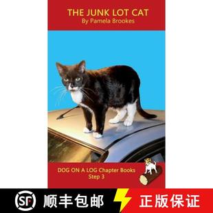 Sound Developing Out Phonics Lot Chapter 9781949471229 including Stud... Junk Cat Book Help Books Readers 4周达
