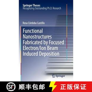 Functional 9783319375533 Deposition Electron 4周达 Ion Fabricated Nanostructures Induced Beam Focused
