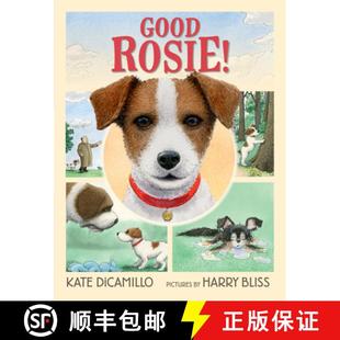 Funny Friendship Picture Book Rosie Sweet 9780763689797 Skills F... Good and Dogs about Social 4周达