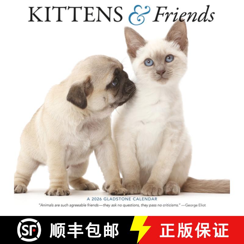 【3-4周达】Kittens Friends Square Wall Sunday Start [9781529847499]