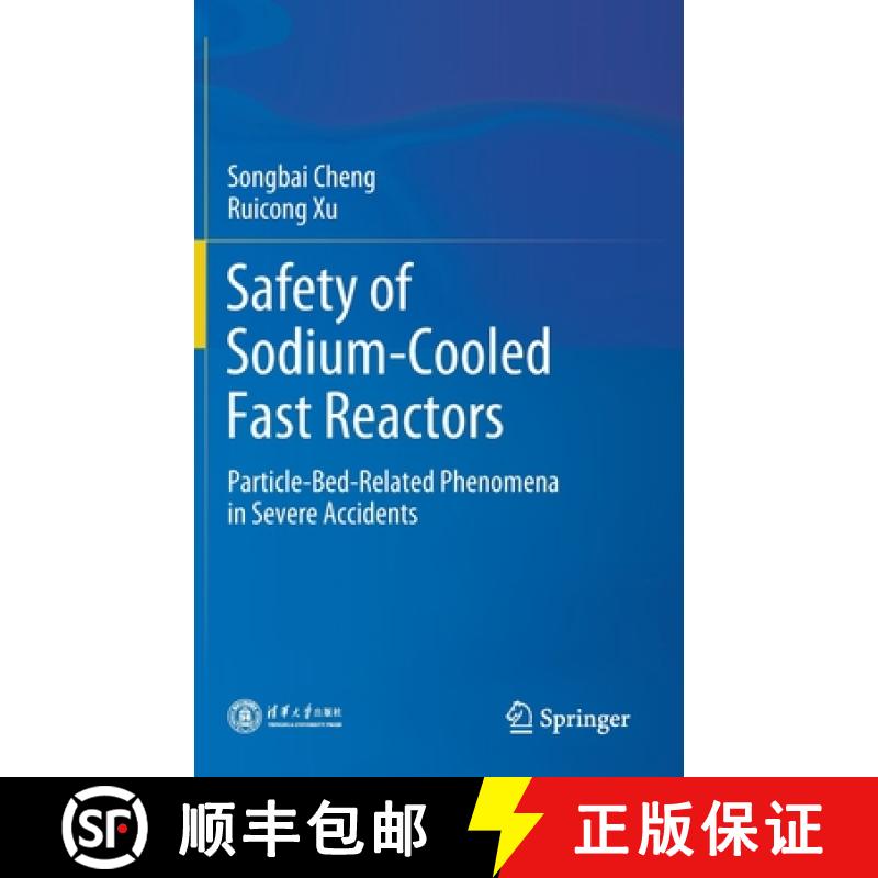【4周达】Safety of Sodium-Cooled Fast Reactors : Particle-Bed-Related Phenomena in Severe Accidents [9789811661150]
