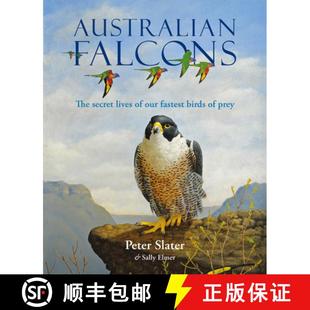 Australian 9781925546743 prey 4周达 our The Falcons birds secret fastest lives