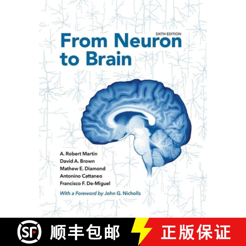 【3-4周达】From Neuron to Brain [9781605354392]