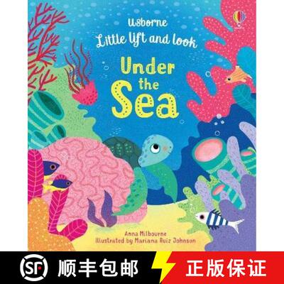 预订 海底世界 Little Lift and Look Under the Sea [9781474952965]