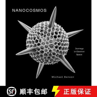 Nanocosmos : Journeys in Electron Space [9780810997974]