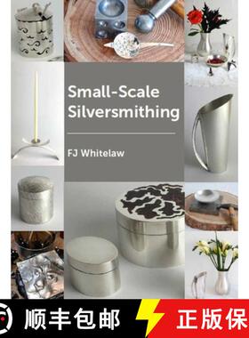 【3-4周达】Small-Scale Silversmithing [9781785006173]