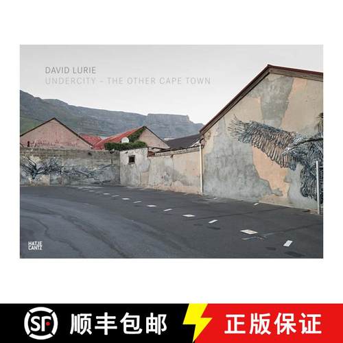 David Lurie : Undercity - The Other Cape Town [9783775743273]