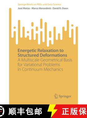 【3-4周达】Energetic Relaxation to Structured Deformations : A Multiscale Geometrical Basis for Varia... [9789811987991]