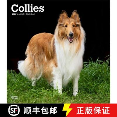 【3-4周达】Collies 2026 12 X 24 Inch (Hanging) Monthly Square Wall Calendar Plastic-Free [9798330702985]