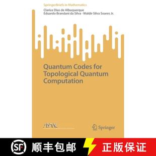 Quantum Codes for Computation 3周达 Topological 9783031068324