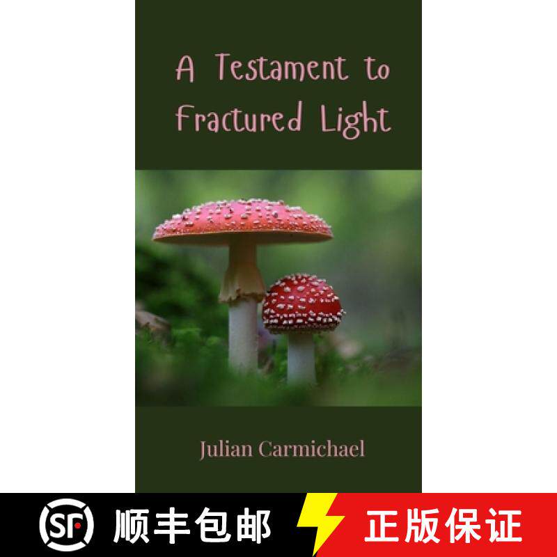 预订 A Testament to Fractured Light [9783690802130]
