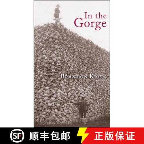 【3-4周达】In the Gorge : Poems [9781930337930]