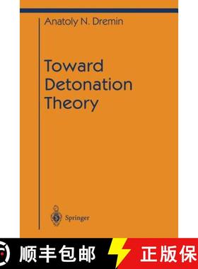 【3-4周达】Toward Detonation Theory [9781461268192]