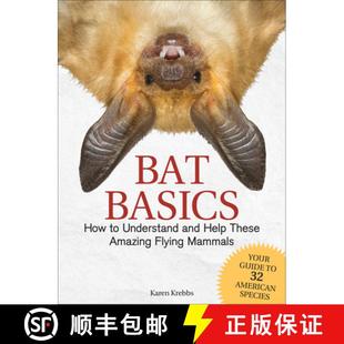 Basics Understand Bat Flying 9781591939870 Amazing How 4周达 Help and Mammals These