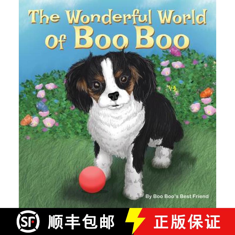 【3-4周达】The Wonderful World Of Boo Boo [9781633021143]