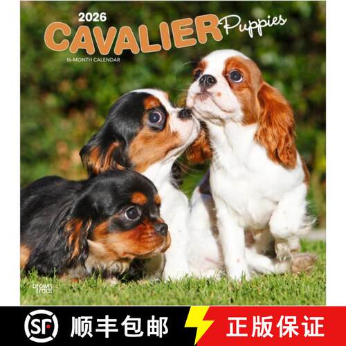 【3-4周达】Cavalier King Charles Spaniel Puppies 2026 Square Flap Calendar [9798330702817]