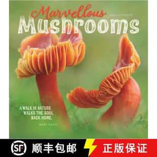【3-4周达】Marvellous Mushrooms Square Wall Calenda [9781529848076]