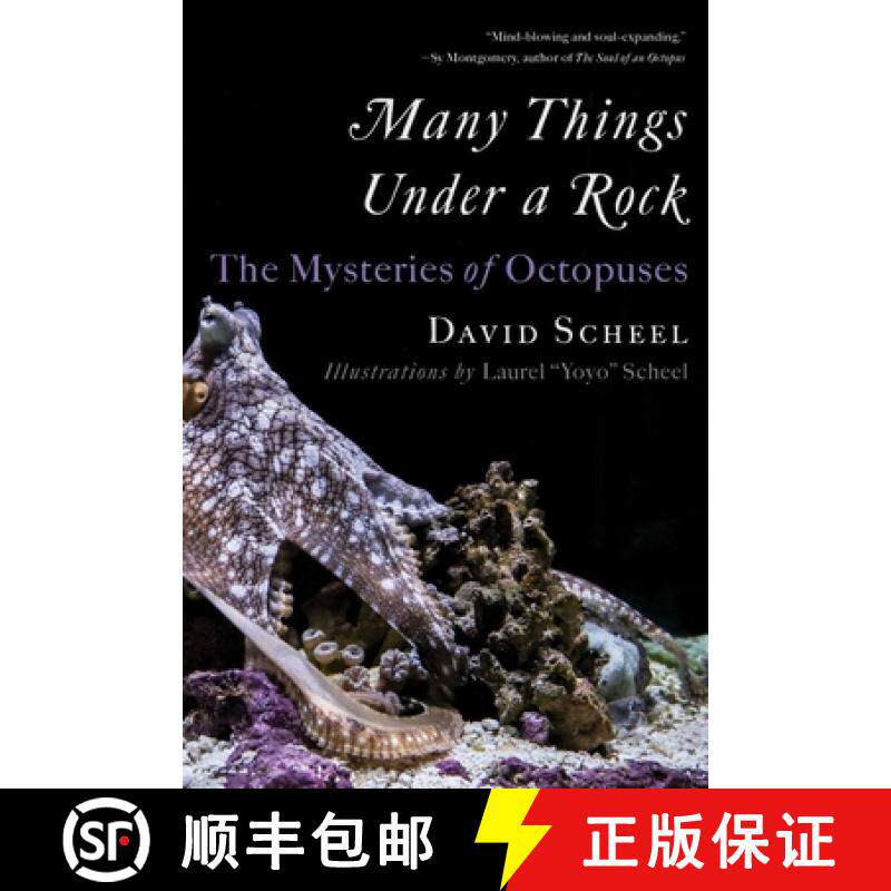 【3-4周达】Many Things Under a Rock - The Mysteries of Octopuses: The Mysteries of Octopuses [9781324076292]
