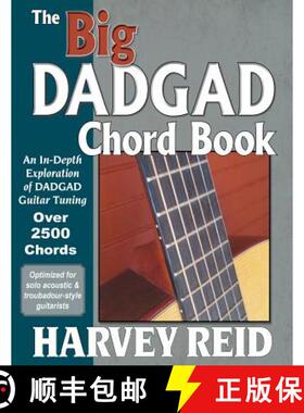 预订 The Big DADGAD Chord Book: An In-Depth Exploration of DADGAD Guitar Tuning [9781630290429]