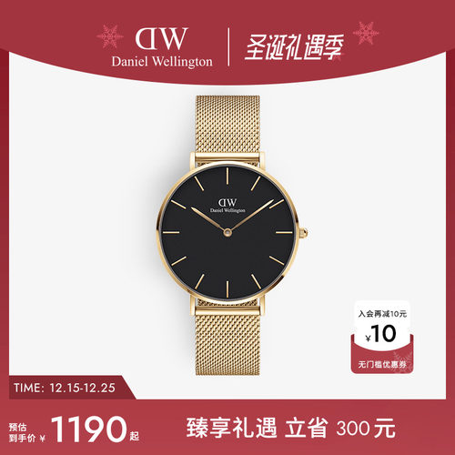 DW轻奢流金表女款石英表