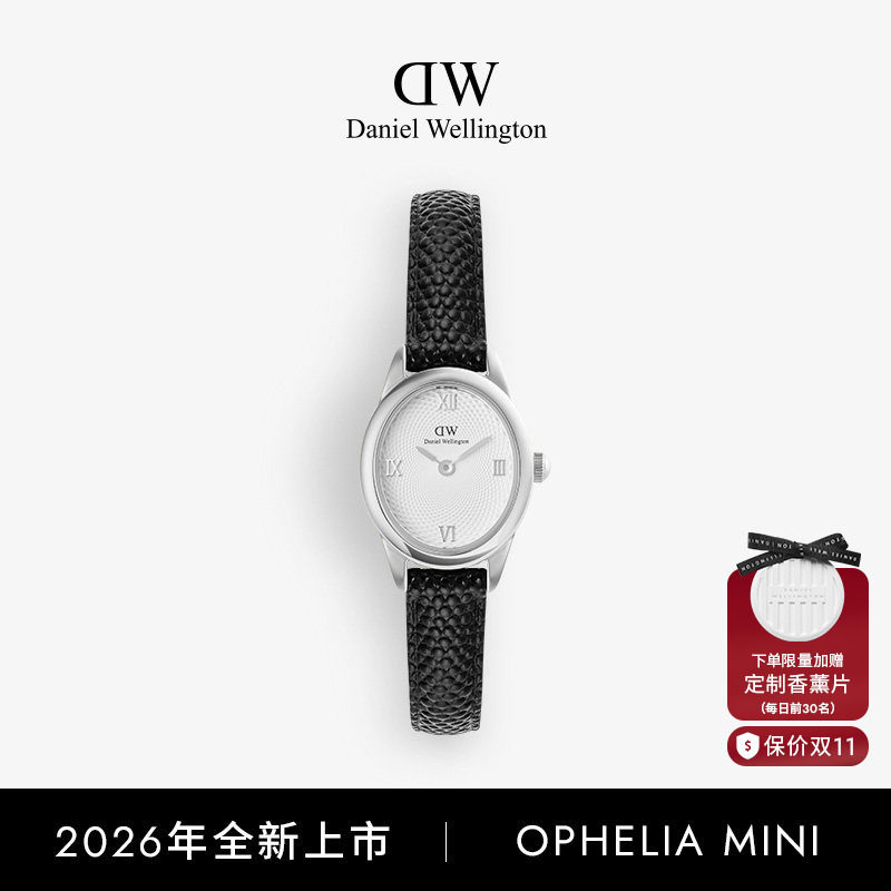 DW椭圆表手表女表复古手表女士星光银色腕表皮带表通勤质感首饰