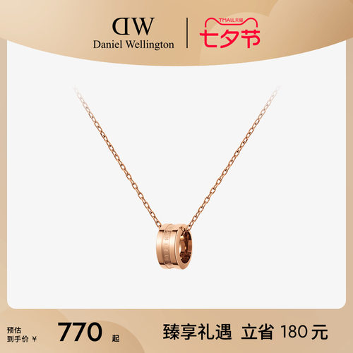 dw项链情侣同款轻奢高级感锁骨链