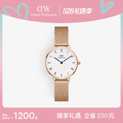 DW女表小蓝针腕表罗马数字刻度