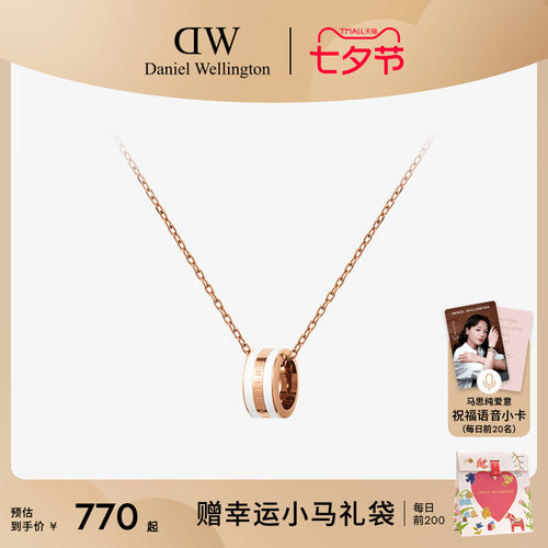 DW双色女款项链高级感轻奢小众