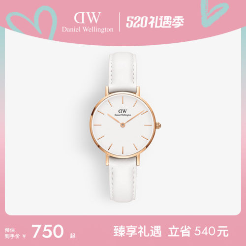 dw手表女皮质石英圆表