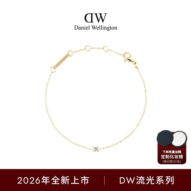 【新品】DW手链流光手链女款锆石手链手饰女士首饰素链简约时尚