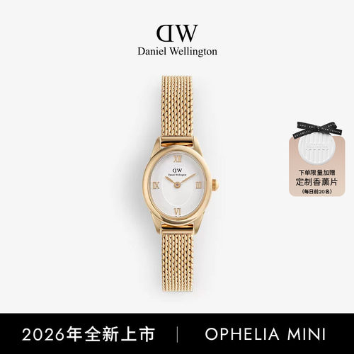 DW椭圆表女复古轻奢小众玫瑰金