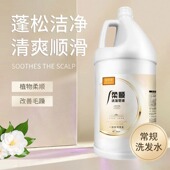 大桶洗发水发廊理发店批发会所宾馆家庭专用浓香洗发乳护发素顺滑