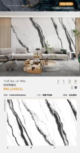 熊猫白岩板1200x2400x9佛山亮光干粒抛黑白色室内背景墙楼梯地板