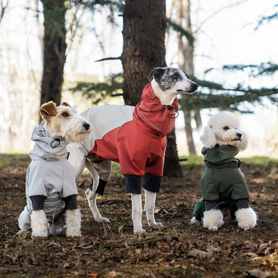 2026春季新品狗狗冲锋衣