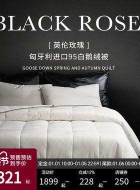 ESTEEM/宜庭英伦玫瑰95白鹅绒被匈牙利进口夏春秋被【专柜同款】