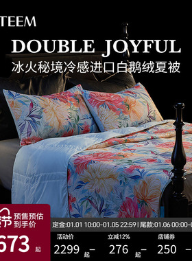ESTEEM/宜庭冰火秘境匈牙利95白鹅绒可水洗空调夏被【专柜同款】