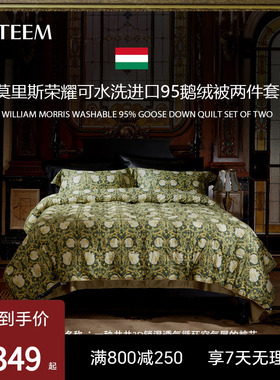 ESTEEM/宜庭莫里斯荣耀可水洗95鹅绒子母被二合一被【专柜同款】