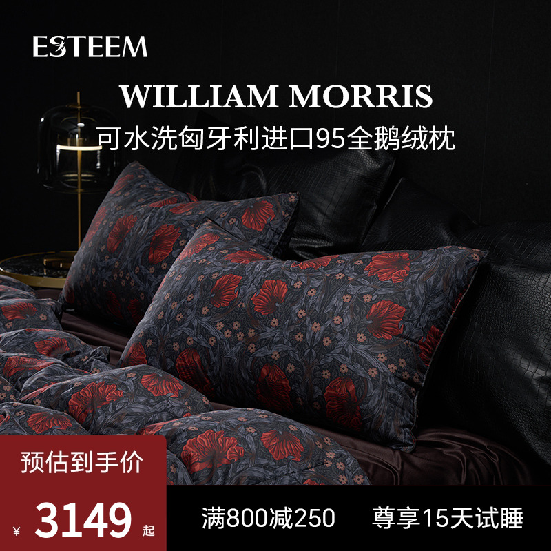 Esteem宜庭95白鹅绒可水洗