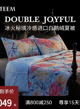 ESTEEM/宜庭冰火秘境95可水洗白鹅绒夏凉空调被冷感【专柜同款】